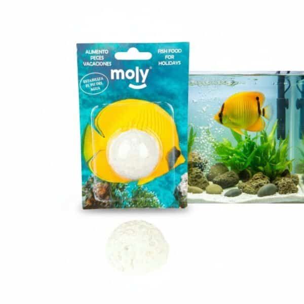 moly vacaciones stick