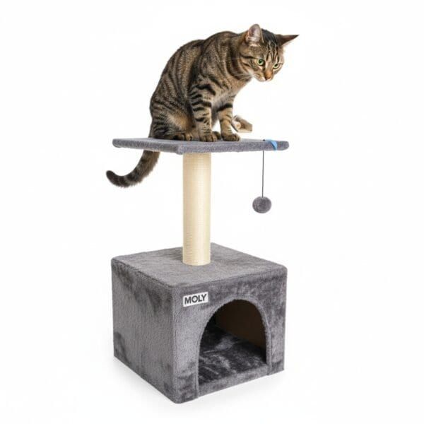 arbol rascador gato modelo lisboa 35*35*62 cm