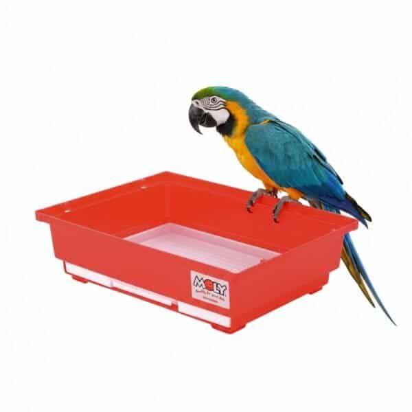 moly calcio loros 150 gr