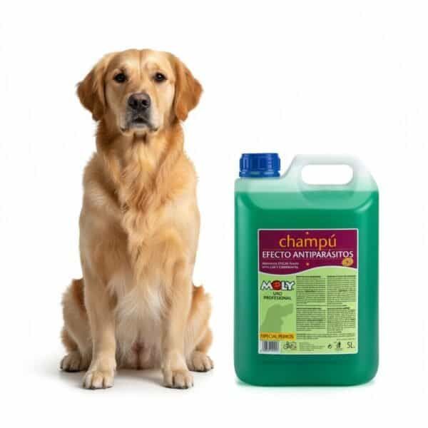 dental snack de pato extra maxi 1 kg | masticación prolongada y cuidado dental para perros grandes