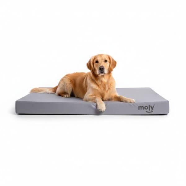 colchon waterproof gris t 1 80x60x10