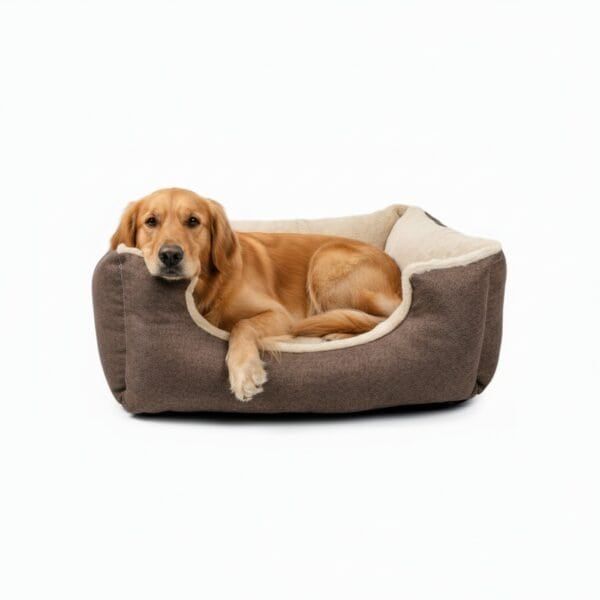 dulce new collection cuna marron t 3 75x63x24 cm