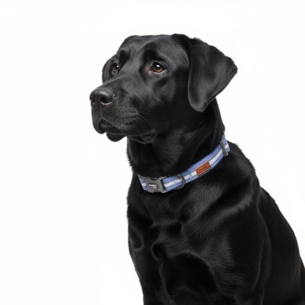 collar moly easy urban reflectivo 1.5*27 41 cm