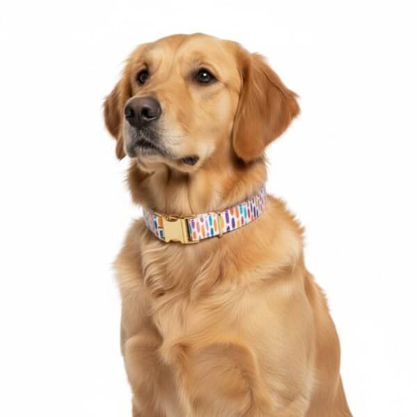 collar topitos t 5 40 50*2