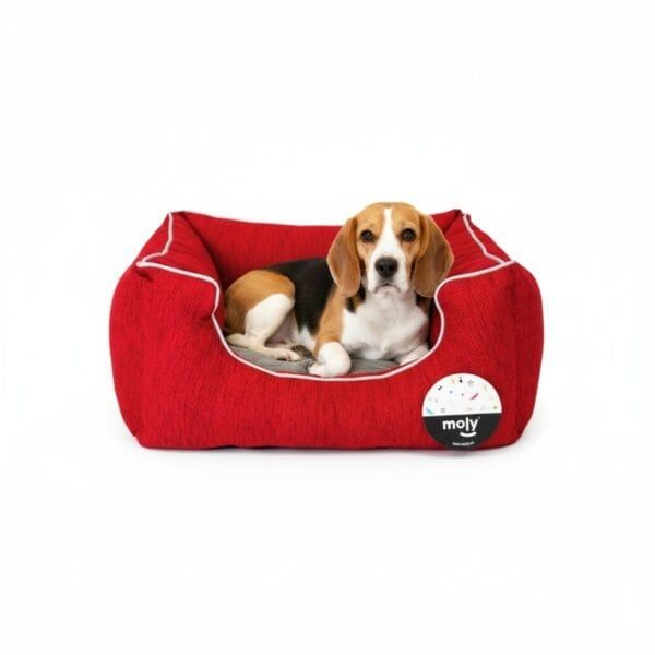 juguete pets coleccion spring summer congrejo 8*6.