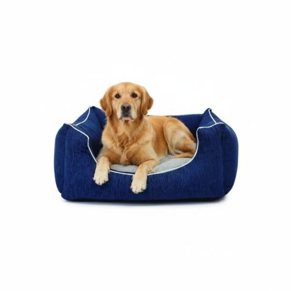 collar cuero liso c/fornitura 45 cm