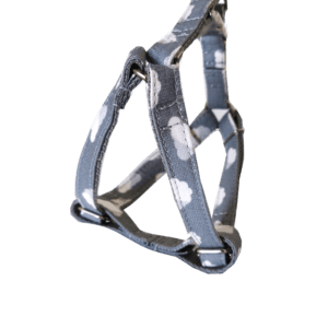 import placeholder for 426