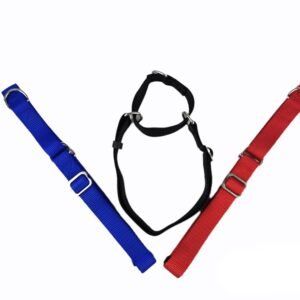 import placeholder for 1008