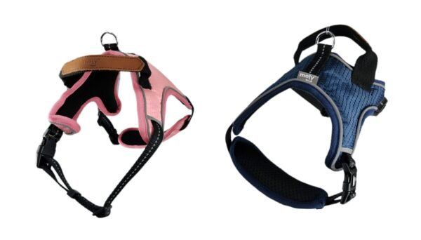 import placeholder for 651