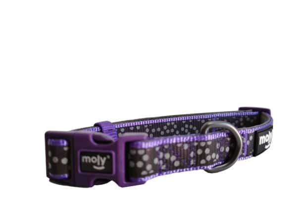 import placeholder for 647