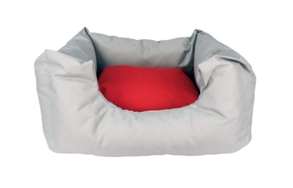 import placeholder for 497