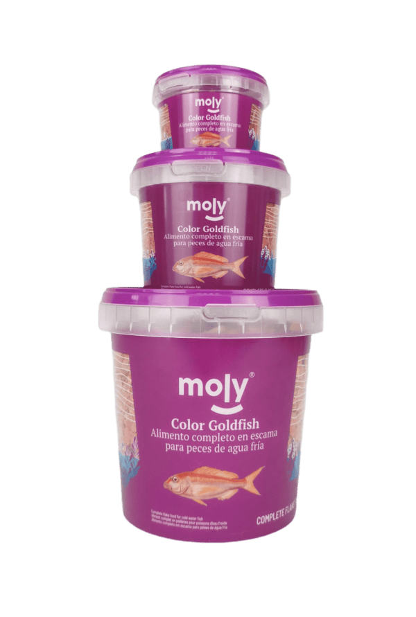 moly goldfish color 55 gr 365 ml