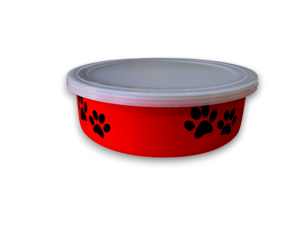 import placeholder for 231