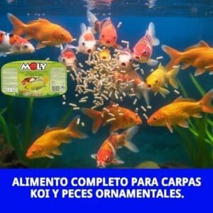 moly estanque sticks 5 kg *profesional*