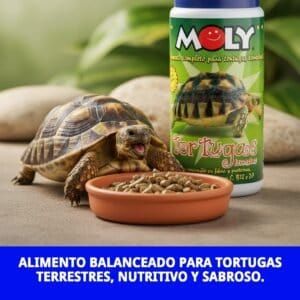 moly tortugas terrestres 360gr / 1 litro