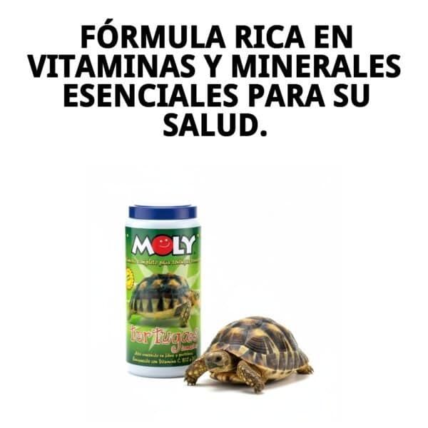 moly tortugas terrestres 360gr / 1 litro
