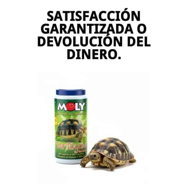 moly tortugas terrestres 360gr / 1 litro