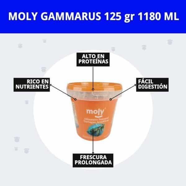 moly gammarus 125 gr 1180 ml