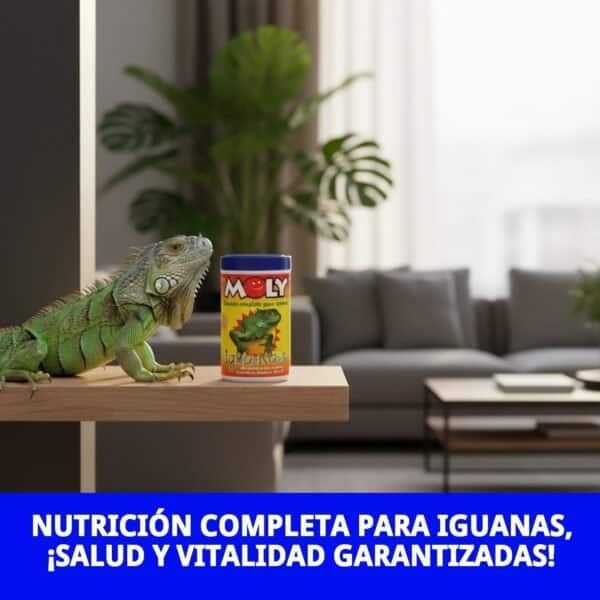 moly iguanas 100gr/250 ml