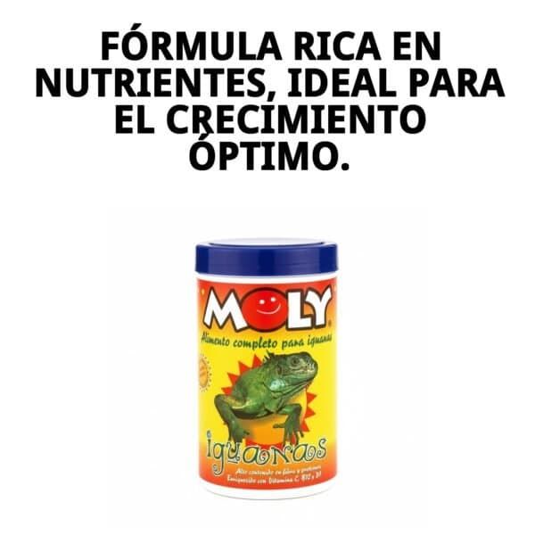 moly iguanas 100gr/250 ml