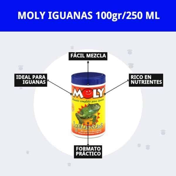 moly iguanas 100gr/250 ml