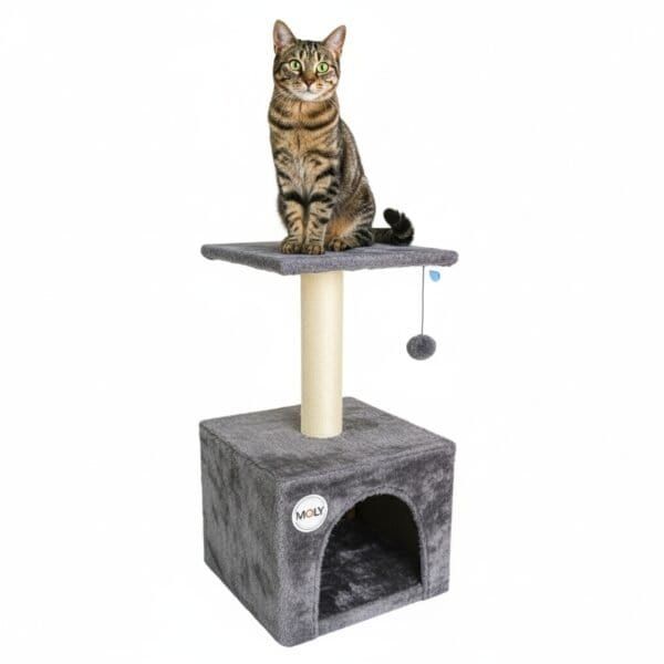 arbol rascador gato modelo lisboa 35*35*62 cm