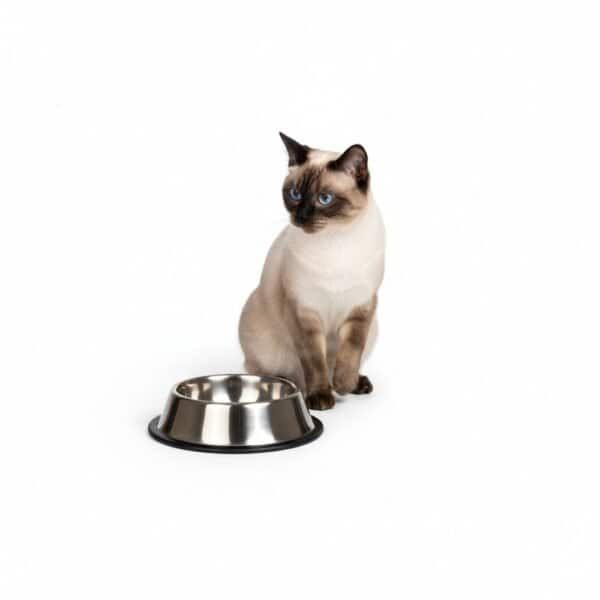 Comedero para gatos en acero inoxidable, 12 cm, 0,22L, duradero y fácil de limpiar.