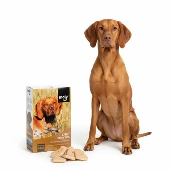 raff quality mix canarini 900g 4 unidades