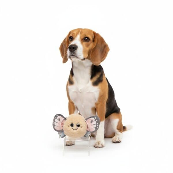 juguete para perros butterfly 10 cm moly | mordedor pequeño y resistente para juego activo