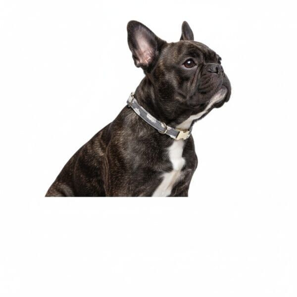 collar nubes gris t 1 20 30*1,5