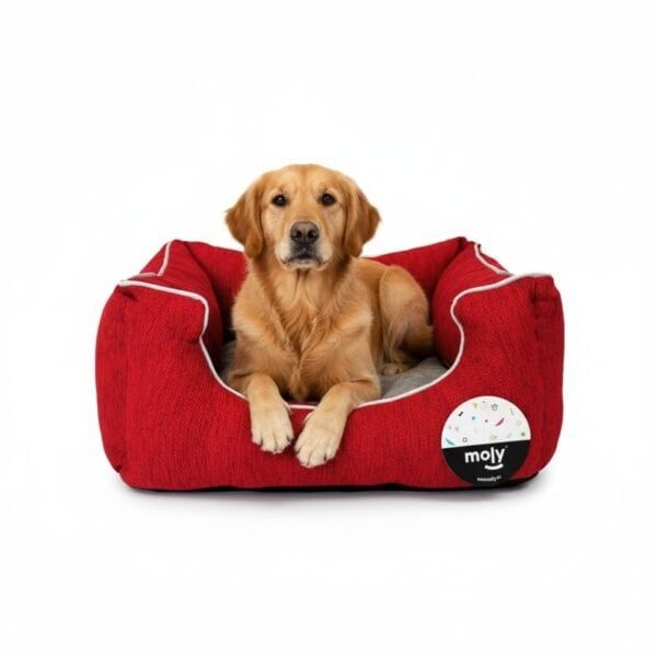 juguete interactivo gato hamster colecc spring