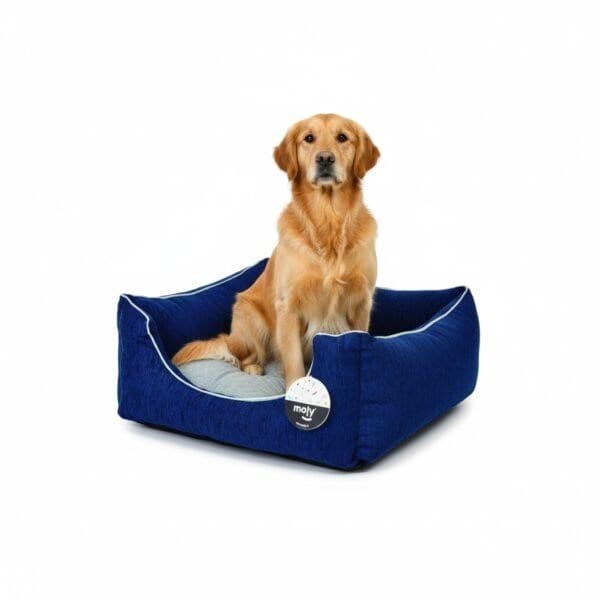 collar cuero liso c/fornitura 45 cm