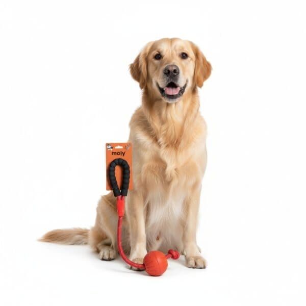 juguete tpr eco cuerda pelota empuÑad conf 9*50 cm