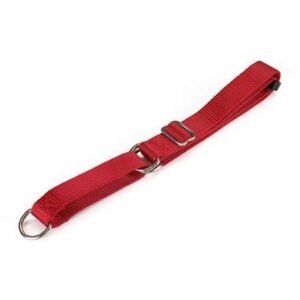 collar nylon adiestramiento 85x2.5 cm
