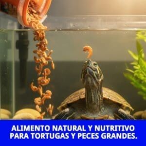 moly gammarus 15 gr 120 ml