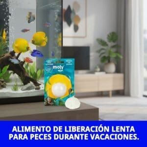 moly vacaciones stick