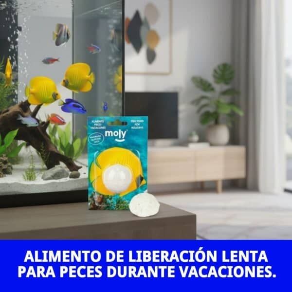 moly vacaciones stick