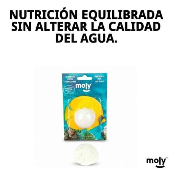 moly vacaciones stick
