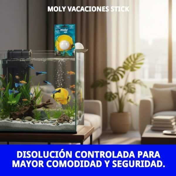 moly vacaciones stick