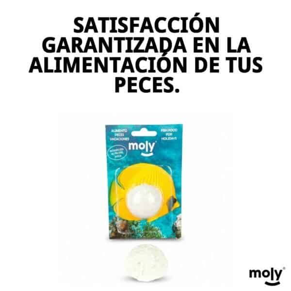 moly vacaciones stick