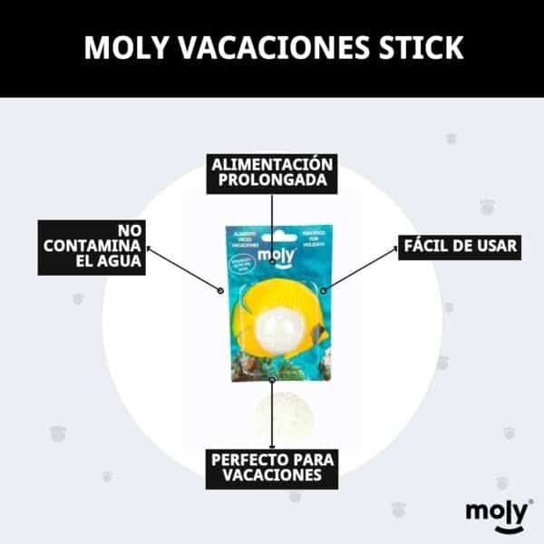 moly vacaciones stick