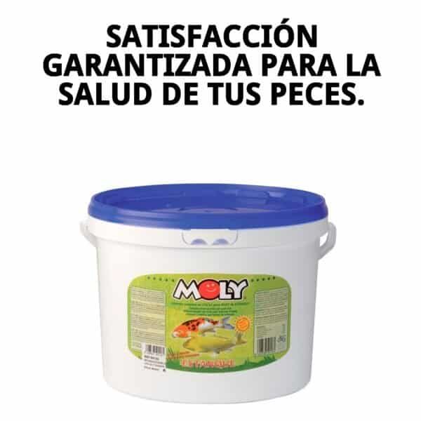 moly estanque sticks 700 gr