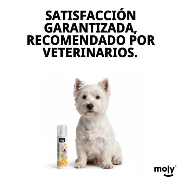 Desodorante para perros, aroma suave y fresco, duración prolongada, cuidado y limpieza.
