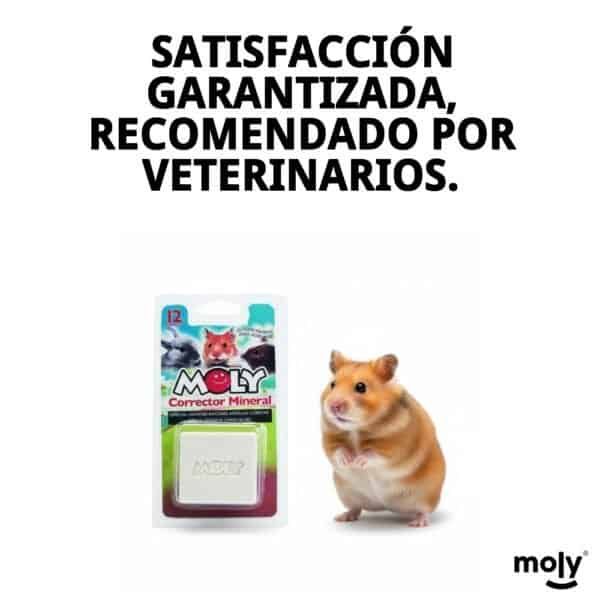 moly calcio roedores 100gr