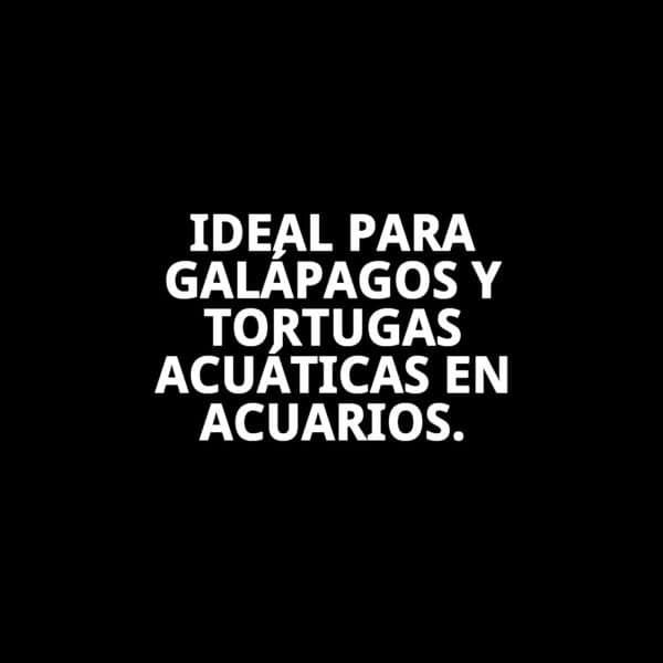 moly calcio tortugas acondicionador agua grande