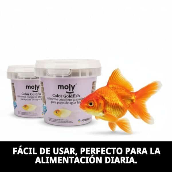 moly goldfish color granulado 75 grms /365 ml