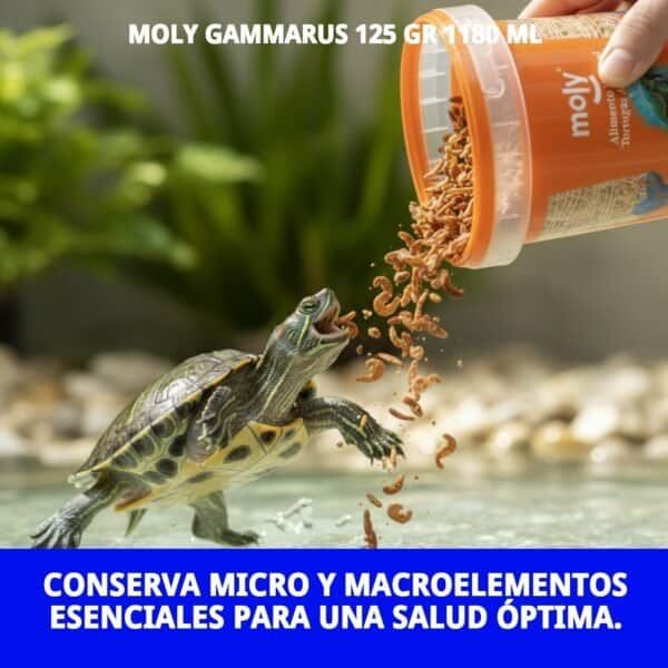 moly gammarus 125 gr 1180 ml