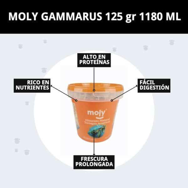 moly gammarus 125 gr 1180 ml