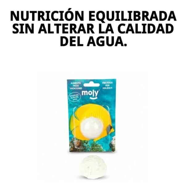 moly vacaciones stick