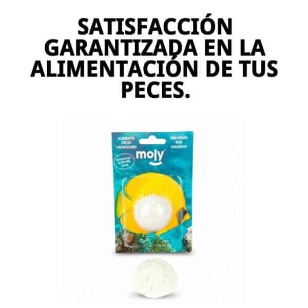 moly vacaciones stick